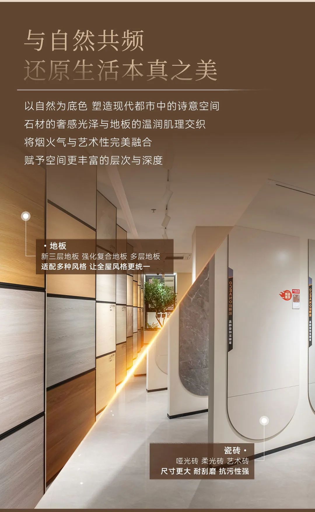 澳华装饰,6686平台装修,6686平台室内设计