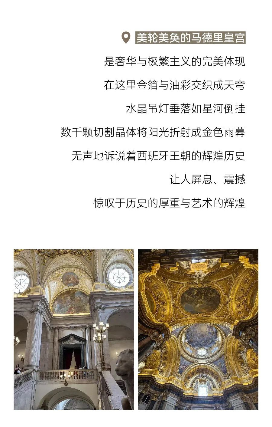 6686官方版app,6686平台室内设计,澳华设计